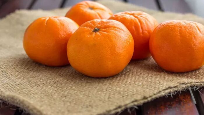 فهرست بهترین غذاهای سالم برای دوران بارداری