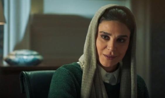 بازیگران سریال افعی تهران ،بیوگرافی بازیگران سریال افعی تهران